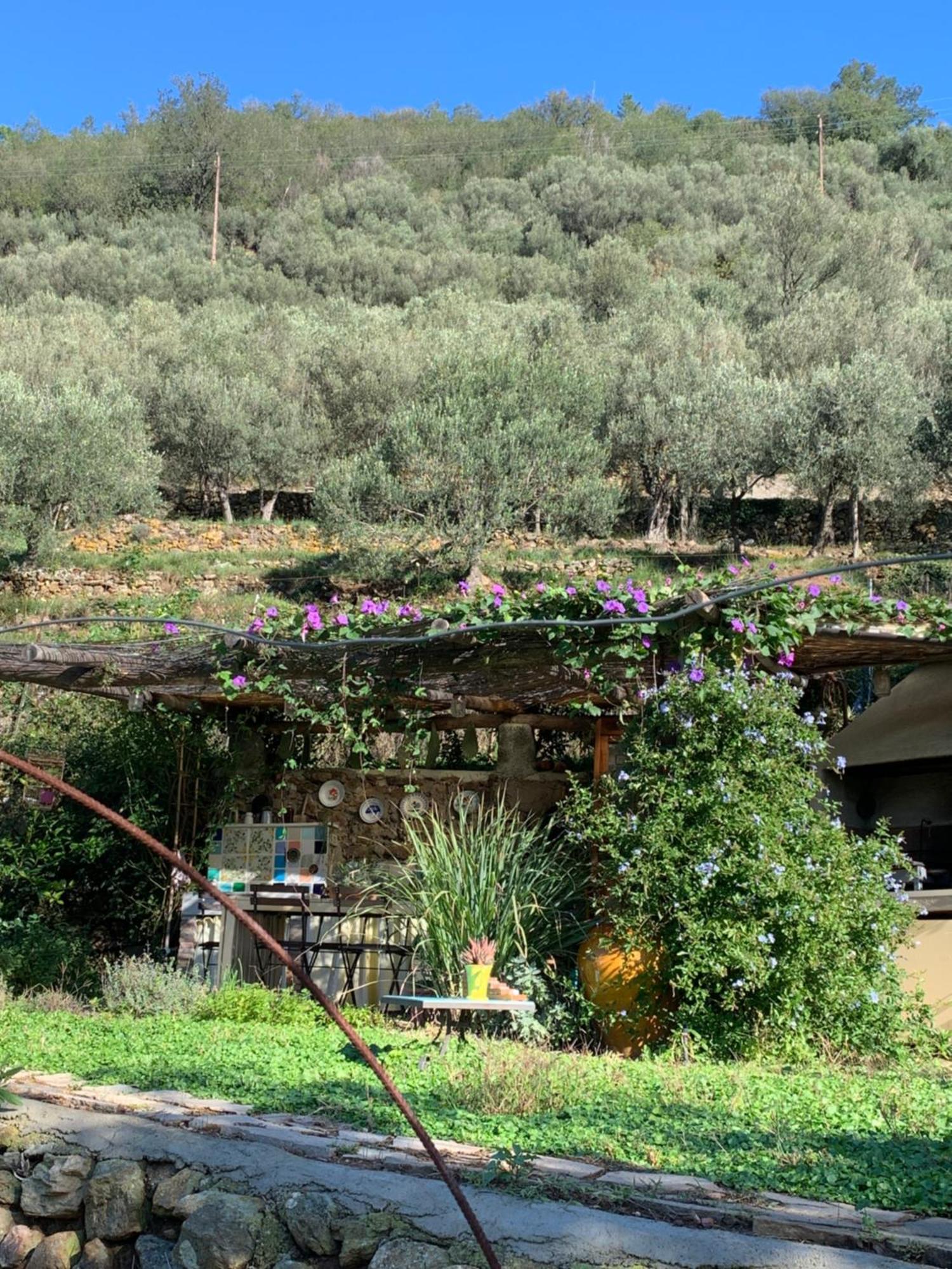 Ca De Badin Bed & Breakfast Noli